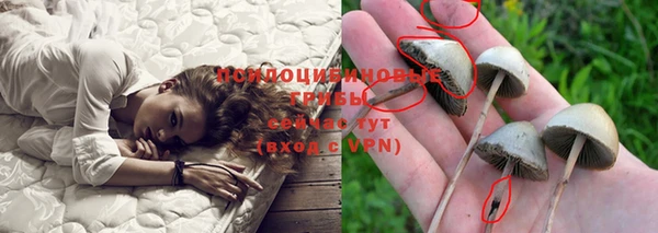 а пвп мука Аркадак